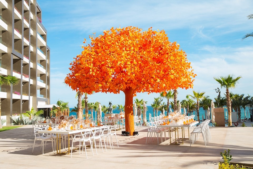 luxury weddings los cabos oreange tree w1144h640 be all inclusive