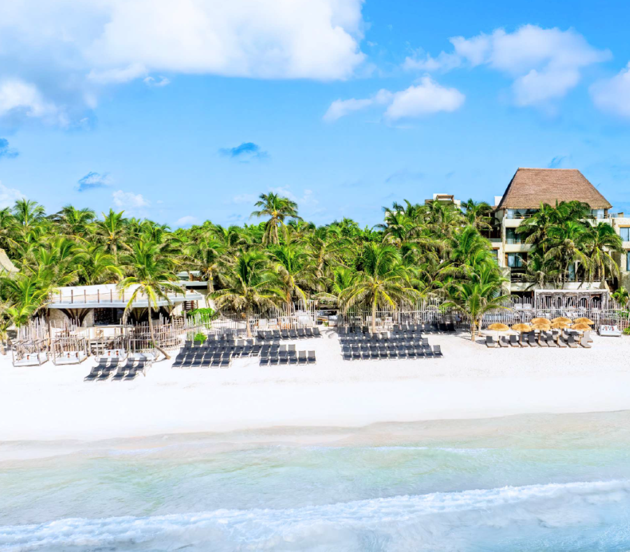 screenshot 20260630 124241 be all inclusive Tropical beach resort with palm trees, white sand, and rows of sun loungers along the shore.